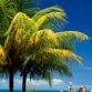 portoseguro2 (1)